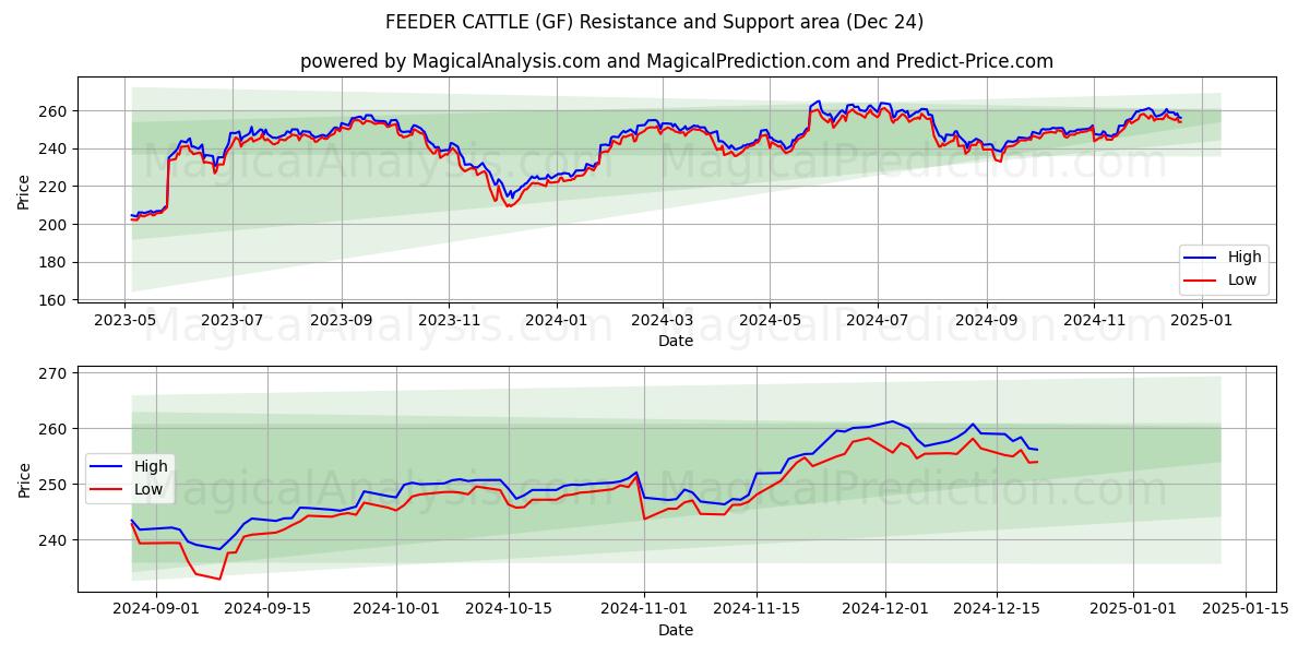  تغذیه کننده گاو (GF) Support and Resistance area (24 Dec) 