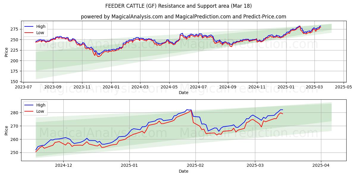  フィーダー牛 (GF) Support and Resistance area (28 Feb) 