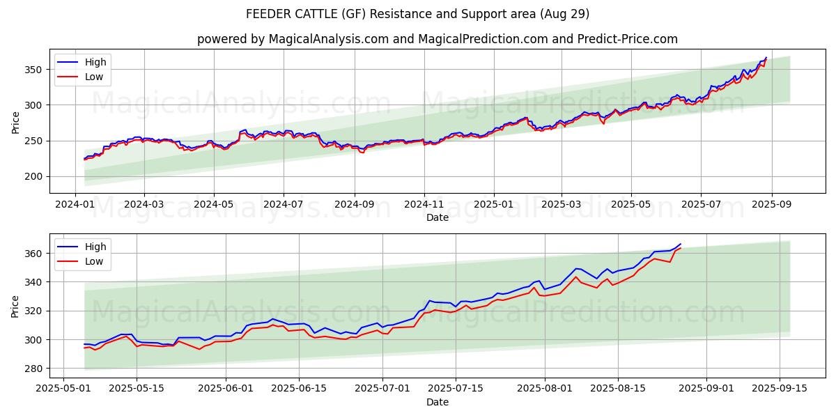  КОРМОВОЙ СКОТА (GF) Support and Resistance area (28 Aug) 