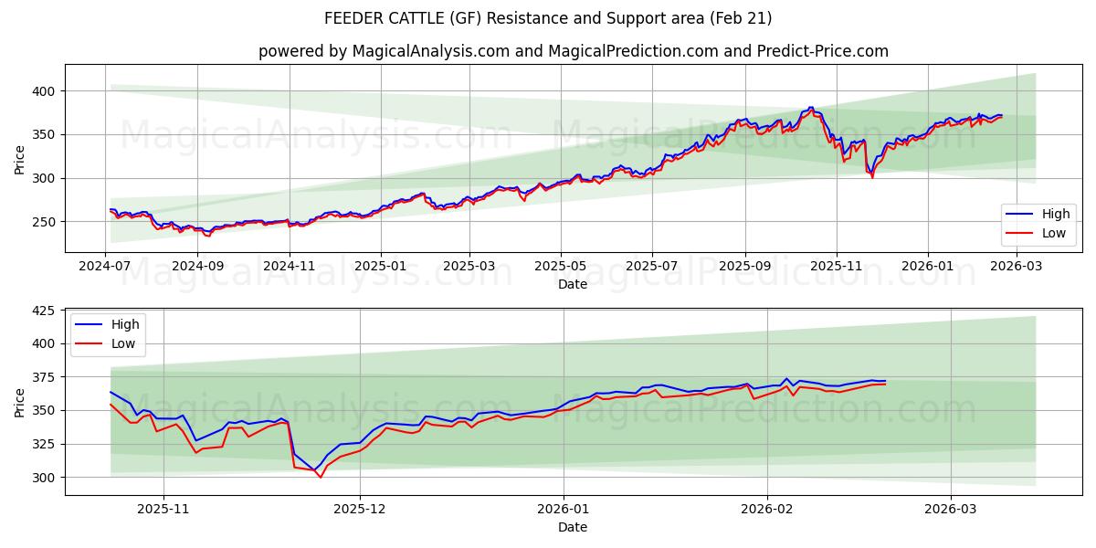  フィーダー牛 (GF) Support and Resistance area (20 Feb) 