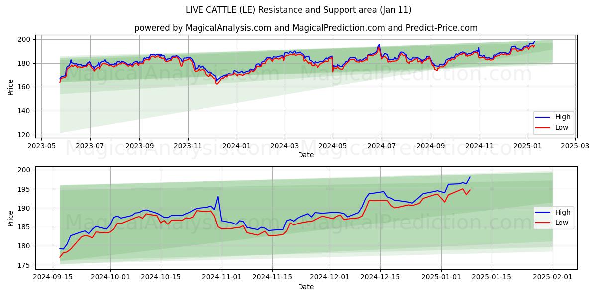  LEBENDE RINDER (LE) Support and Resistance area (11 Jan) 