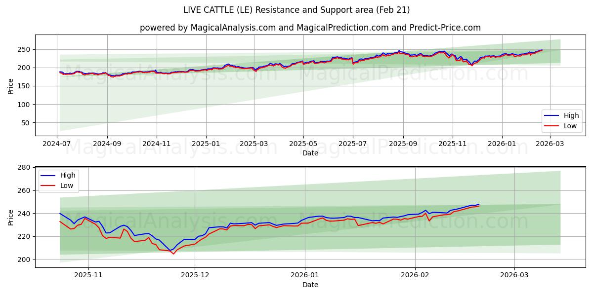  ЖИВОЙ СКОТА (LE) Support and Resistance area (20 Feb) 