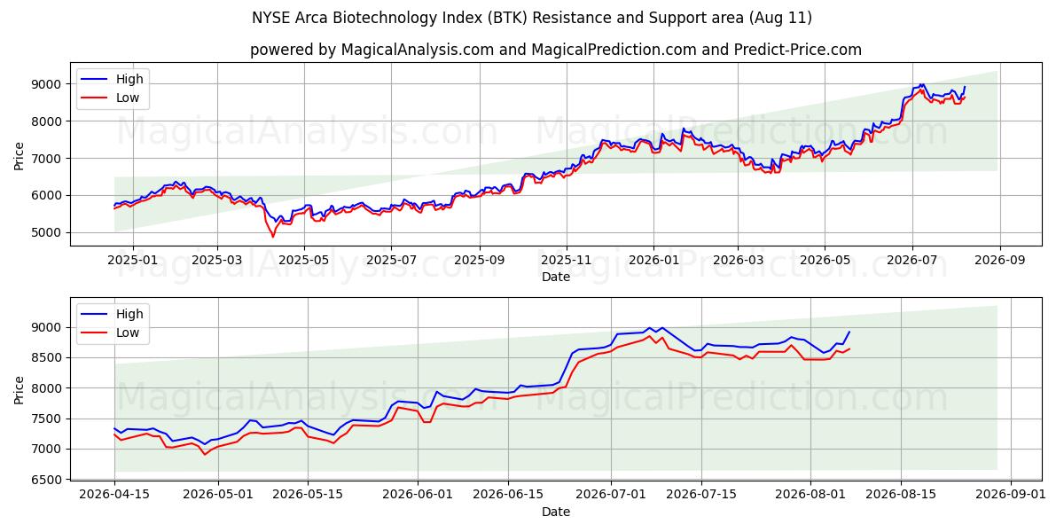  纽约证券交易所 Arca 生物技术指数 (BTK) Support and Resistance area (10 Aug) 