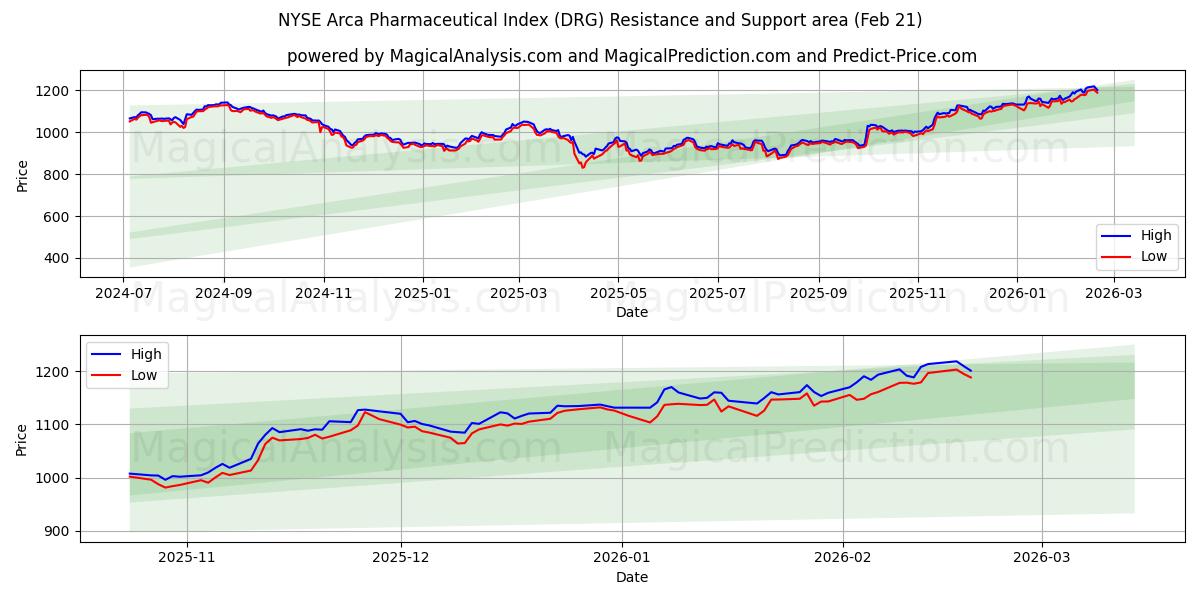  NYSE Arca Pharmaceutical Index (DRG) Support and Resistance area (20 Feb) 