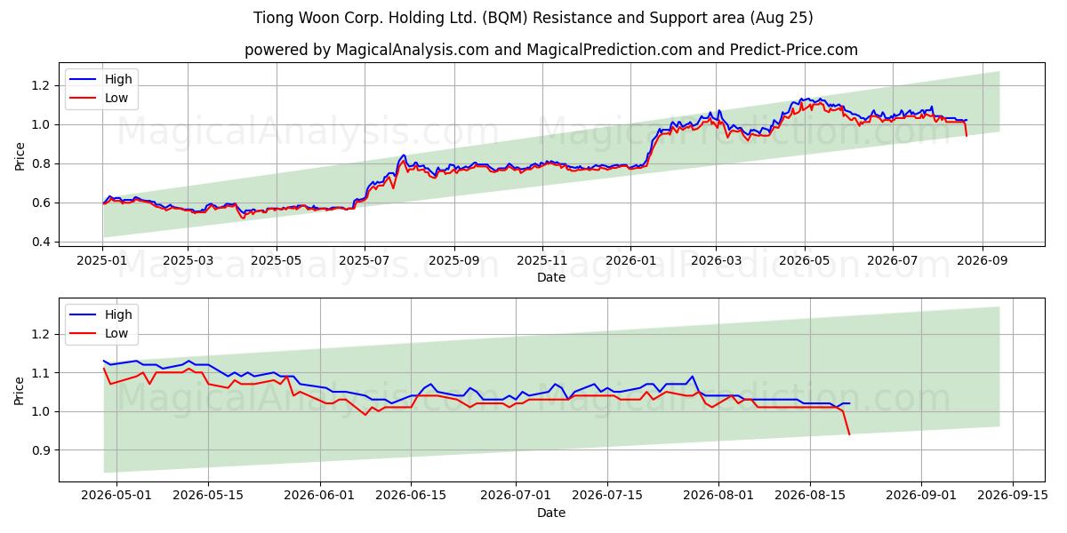  Tiong Woon Corp. Holding Ltd. (BQM) Support and Resistance area (24 Aug) 