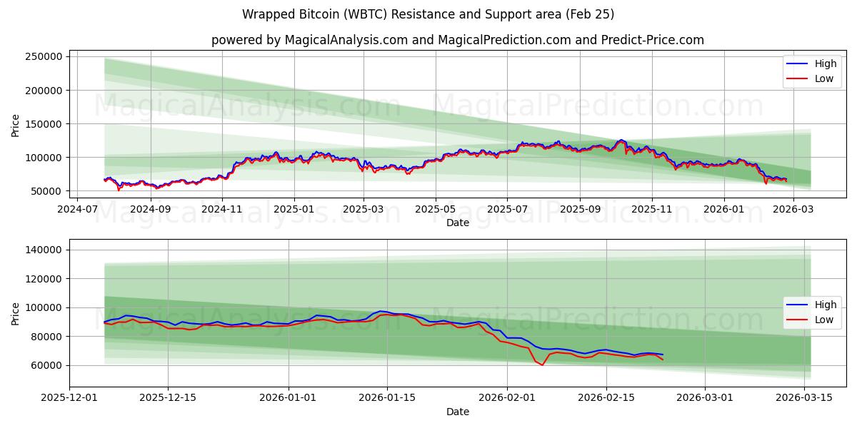  بيتكوين ملفوفة (WBTC) Support and Resistance area (24 Feb) 